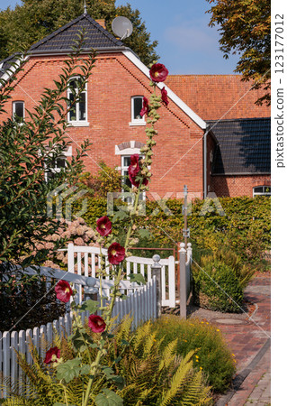 the german krummhoern at the north sea the german krummhoern at the north sea 123177012