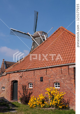 the german krummhoern at the north sea 123177035