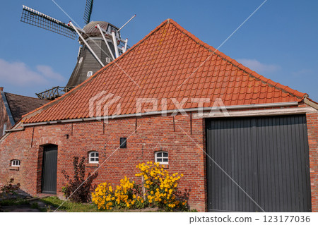 the german krummhoern at the north sea 123177036