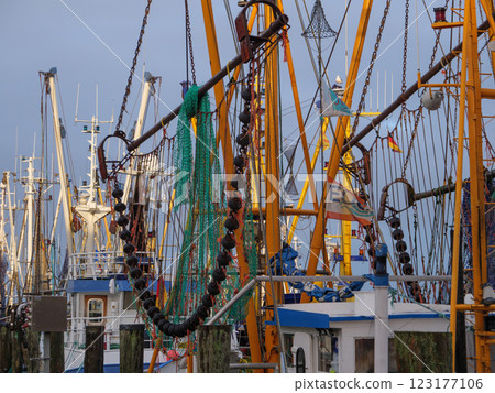 the german krummhoern at the north sea 123177106