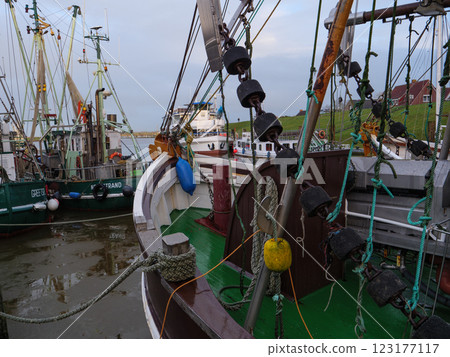 the german krummhoern at the north sea 123177117
