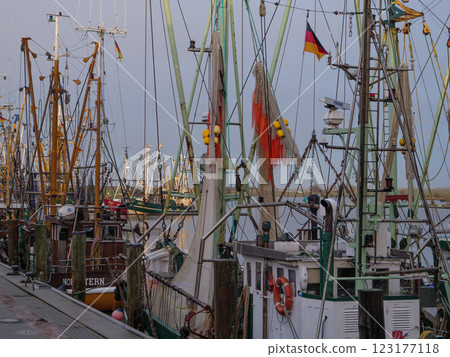 the german krummhoern at the north sea 123177118