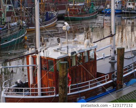 the german krummhoern at the north sea the german krummhoern at the north sea 123177132