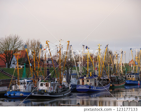 the german krummhoern at the north sea the german krummhoern at the north sea 123177133