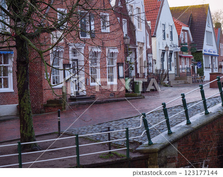 the german krummhoern at the north sea the german krummhoern at the north sea 123177144