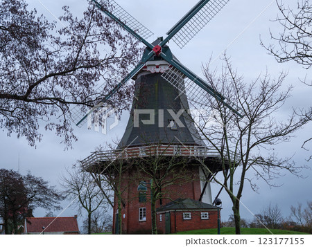 the german krummhoern at the north sea the german krummhoern at the north sea 123177155