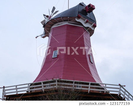 the german krummhoern at the north sea the german krummhoern at the north sea 123177159