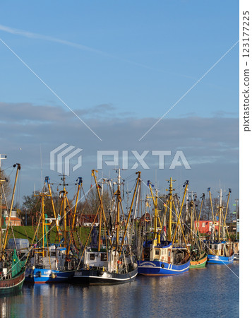 the german krummhoern at the north sea the german krummhoern at the north sea 123177225