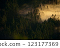 Aerial view of breathtaking sunset with clouds slowly rolling over the treeline 123177369