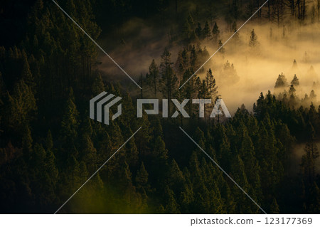 Aerial view of breathtaking sunset with clouds slowly rolling over the treeline Aerial view of breathtaking sunset with clouds slowly rolling over the treeline 123177369