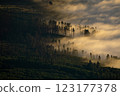Aerial view of breathtaking sunset with clouds slowly rolling over the treeline 123177378