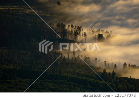 Aerial view of breathtaking sunset with clouds slowly rolling over the treeline 123177378