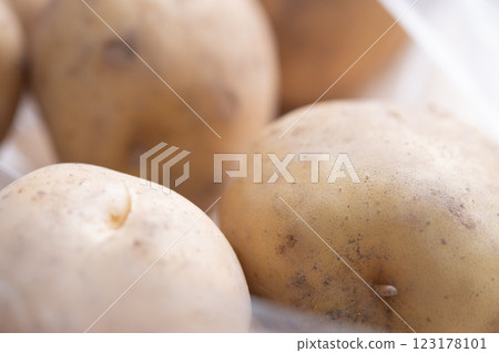 馬鈴薯圖片（庫存照片） 123178101
