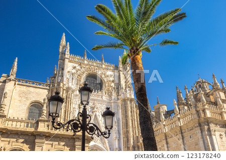 Seville Cathedral, The Cathedral of Saint Mary of the See in Seville town, Andalusia, Spain, Europe. Ornate cathedral facade under a bright blue sky, palm tree and lamppost in the foreground. 123178240