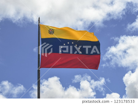 Venezuelan national flag 123178533