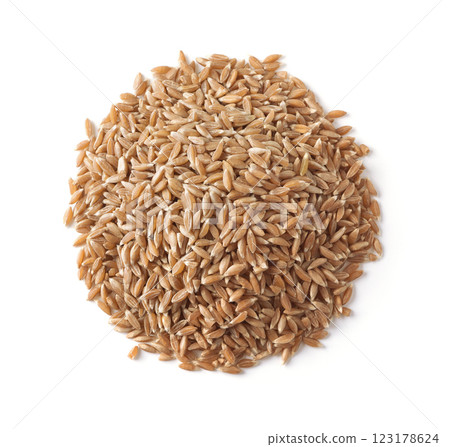 Top view of uncooked spelt wheat grains Top view of uncooked spelt wheat grains 123178624
