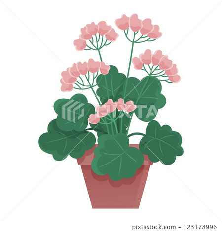 Potted plant with pink flowers and green leaves in a terra cotta pot set against a white background. Ideal for gardening themes, botanical discussions, home d cor, plant care guides, and educational 123178996