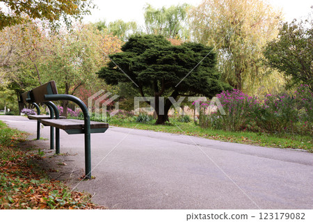Alley and bench in Donaupark, Vienna, Austria - selective focus 123179082