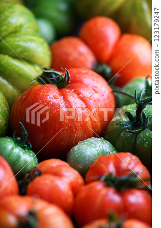 Close up of ripe organic tomatoes red and green colors 123179247