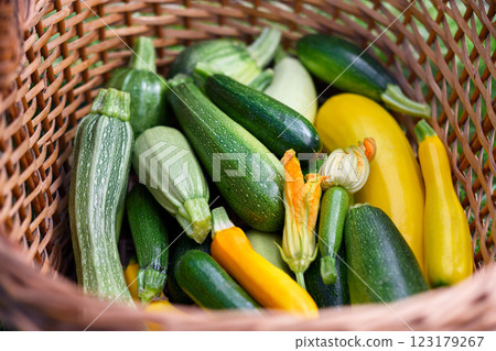 Fresh different kind zucchini and squash in wicker basket Fresh different kind zucchini and squash in wicker basket 123179267