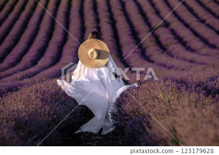Lavender Fields Provence Woman; Summer; White Dress, Straw Hat. Photo depicts woman in white dress and straw hat walking through a vast purple lavender field in Provence, France, during summer, likely 123179628