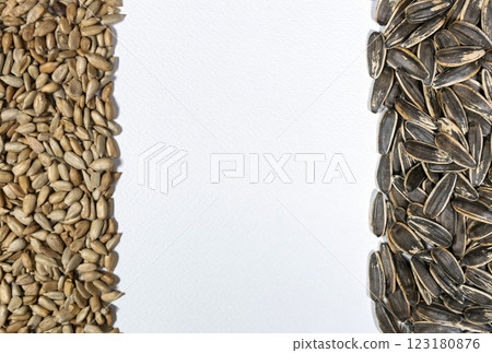 Striped black sunflower seeds on white background, texture, background 123180876