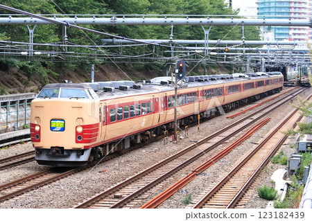 自豪地印有 Azusa 標誌的 183 系列 JNR 特快列車 123182439