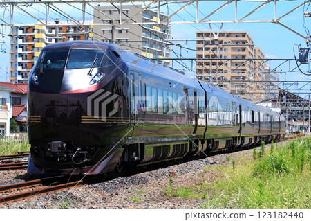JR Sakura Station where the high-grade E655 series train passes by 123182440