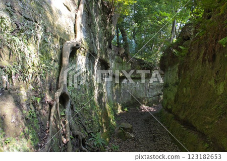 [Kamakura City] Nagakubo Kiridoshi (Koyasan Kiridoshi) 123182653
