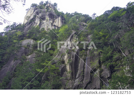 雄偉的岩石山脈與綠色植物的和諧 123182753