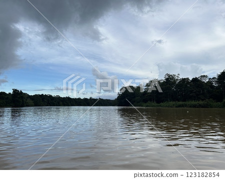 The Kinabatangan river is one of the best and most easily accessible places to see wildlife in Asia! Including so much of Sabah's most sought after wildlife: Orang-utans, proboscis monkeys. 123182854
