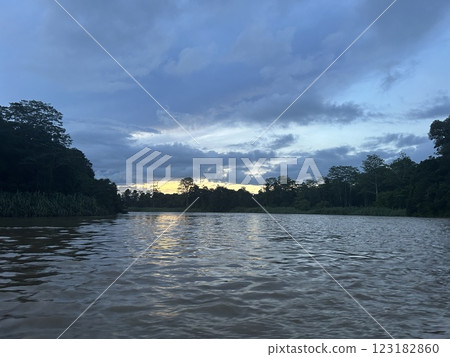 The Kinabatangan river is one of the best and most easily accessible places to see wildlife in Asia! Including so much of Sabah's most sought after wildlife: Orang-utans, proboscis monkeys. The Kinabatangan river is one of the best and most easily accessible places to see wildlife in Asia! Including so much of Sabah's most sought after wildlife: Orang-utans, proboscis monkeys. 123182860