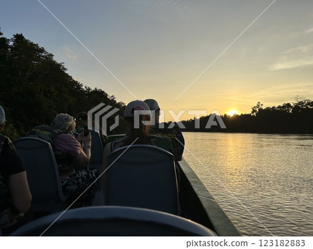 The Kinabatangan river is one of the best and most easily accessible places to see wildlife in Asia! Including so much of Sabah's most sought after wildlife: Orang-utans, proboscis monkeys. The Kinabatangan river is one of the best and most easily accessible places to see wildlife in Asia! Including so much of Sabah's most sought after wildlife: Orang-utans, proboscis monkeys. 123182883