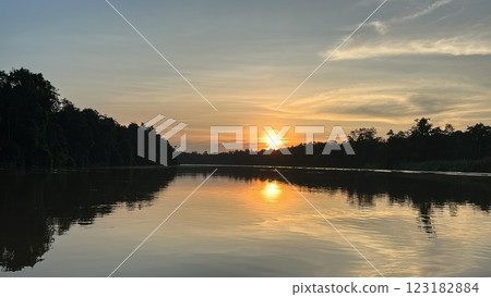 The Kinabatangan river is one of the best and most easily accessible places to see wildlife in Asia! Including so much of Sabah's most sought after wildlife: Orang-utans, proboscis monkeys. 123182884