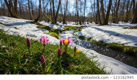 Spring thaw and flowers 123182995