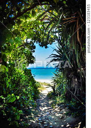 Okinawa travel image sea green Okinawa travel image sea green 123183455