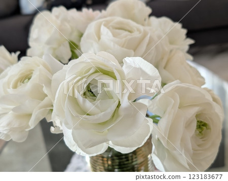 White Ranunculus White Ranunculus 123183677