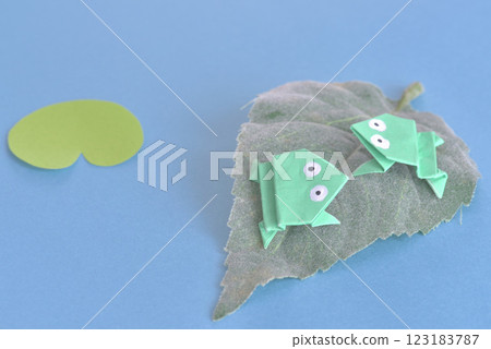 A frog 123183787