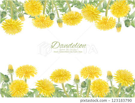 Watercolor hand-drawn dandelion flower vector illustration frame 123183790