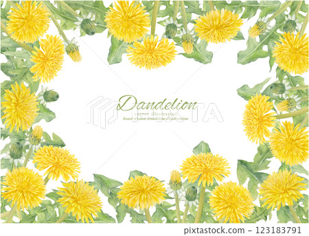 水彩手繪蒲公英花向量插圖框架 123183791