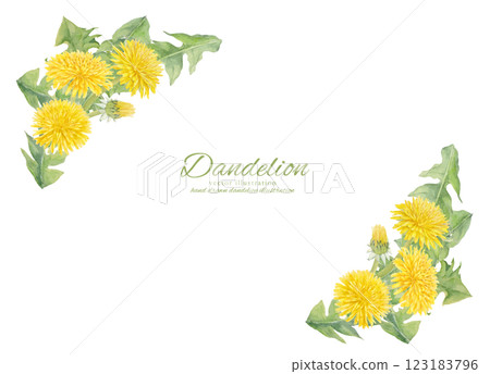 Watercolor hand-drawn dandelion flower vector illustration frame 123183796
