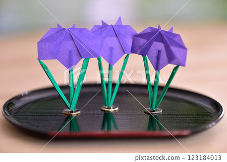 Iris on the table 123184013