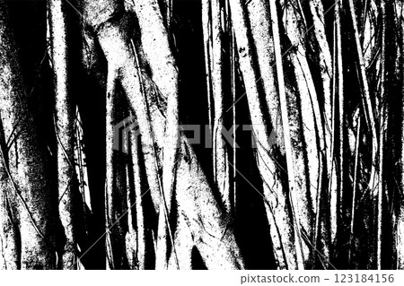 Big tree roots as wooden textured backdrop Big tree roots as wooden textured backdrop 123184156