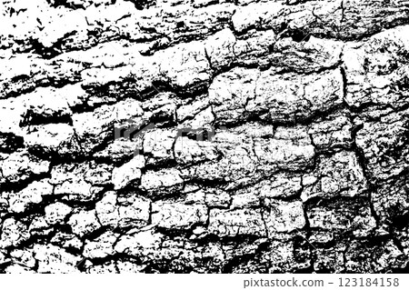 Tree bark texture background vector 123184158
