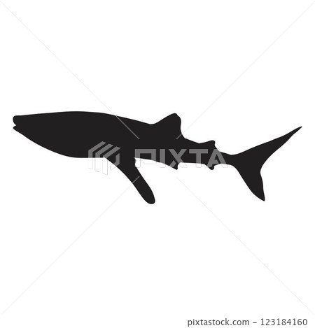 Silhouette Whale Shark Silhouette Whale Shark 123184160