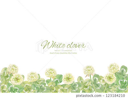 Background frame of watercolor clover and white clover painted in watercolor 123184210