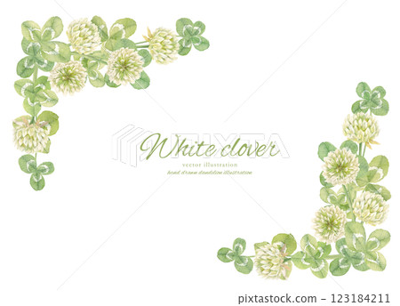水彩三葉草和白三葉草的背景框架畫在水彩畫裡 123184211