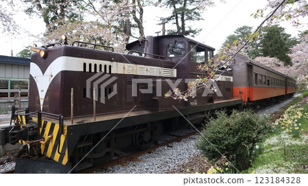 Train running through a tunnel of cherry blossoms - Former Ashino Park Station on the Tsugaru Railway Train running through a tunnel of cherry blossoms - Former Ashino Park Station on the Tsugaru Railway 123184328