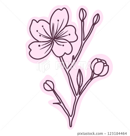 Cherry flower blossom, botanical art. Spring almond, sakura, branch, hand draw doodle line art illustration. colored black ink art, isolated on white background. Realistic floral bloom sketch. Cherry flower blossom, botanical art. Spring almond, sakura, branch, hand draw doodle line art illustration. colored black ink art, isolated on white background. Realistic floral bloom sketch. 123184464