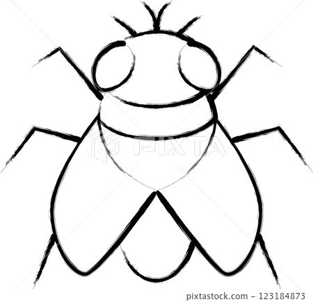 Brush-drawn mini insect illustration icon: fly 123184873